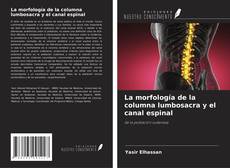 Bookcover of La morfología de la columna lumbosacra y el canal espinal