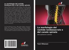 Capa do livro de La morfologia del rachide lombosacrale e del canale spinale 