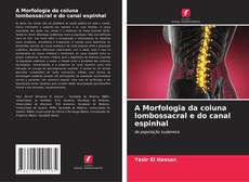 Bookcover of A Morfologia da coluna lombossacral e do canal espinhal