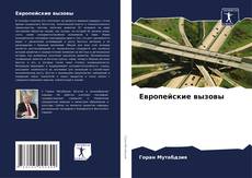 Buchcover von Европейские вызовы