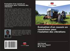 Évaluation d'un coussin en caoutchouc pour l'isolation des vibrations的封面