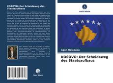 Buchcover von KOSOVO: Der Scheideweg des Staatsaufbaus