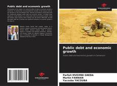 Buchcover von Public debt and economic growth