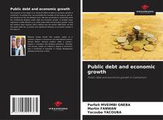 Copertina di Public debt and economic growth