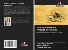 Buchcover von Debito pubblico e crescita economica