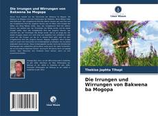Buchcover von Die Irrungen und Wirrungen von Bakwena ba Mogopa