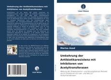 Обложка Umkehrung der Antibiotikaresistenz mit Inhibitoren von Acetyltransferasen