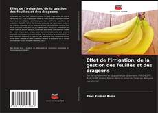 Bookcover of Effet de l'irrigation, de la gestion des feuilles et des drageons