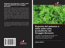 Buchcover von Risposta del potassio e dello zolfo sulla produttività del foraggio Berseem