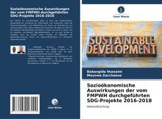 Copertina di Sozioökonomische Auswirkungen der vom FMPWH durchgeführten SDG-Projekte 2016-2018
