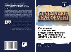 Borítókép a  Социально-экономическое воздействие проектов ЦУР, реализованных ФМПВХ в 2016-2018 гг. - hoz