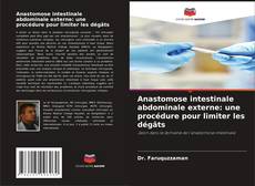 Bookcover of Anastomose intestinale abdominale externe: une procédure pour limiter les dégâts