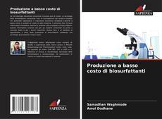 Capa do livro de Produzione a basso costo di biosurfattanti 