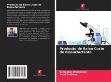 Produção de Baixo Custo de Biosurfactante kitap kapağı