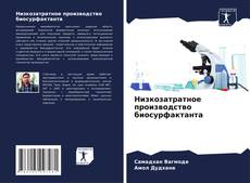 Capa do livro de Низкозатратное производство биосурфактанта 