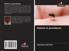 Bookcover of Malaria in gravidanza