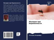 Capa do livro de Малярия при беременности 