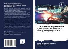 Borítókép a  Устойчивое управление цепочками поставок в эпоху Индустрии 4.0 - hoz