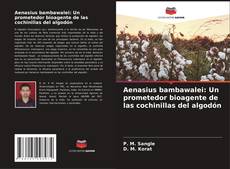 Aenasius bambawalei: Un prometedor bioagente de las cochinillas del algodón的封面
