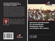 Aenasius bambawalei: Un promettente bioagente delle cocciniglie del cotone kitap kapağı