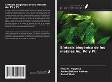 Buchcover von Síntesis biogénica de los metales Au, Pd y Pt