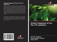 Sintesi biogenica di Au, Pd e Pt metallico kitap kapağı