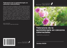 Bookcover of Tolerancia de la quimioterapia en cánceres colorrectales