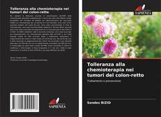 Tolleranza alla chemioterapia nei tumori del colon-retto kitap kapağı