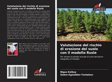 Valutazione del rischio di erosione del suolo con il modello Rusle kitap kapağı