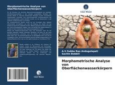 Morphometrische Analyse von Oberflächenwasserkörpern kitap kapağı