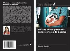 Buchcover von Efectos de los parásitos en los conejos de Bagdad