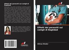 Copertina di Effetti dei parassiti sui conigli di Baghdad