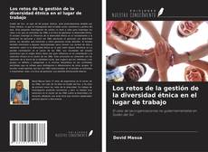 Portada del libro de Los retos de la gestión de la diversidad étnica en el lugar de trabajo