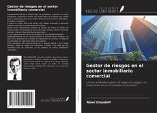 Gestor de riesgos en el sector inmobiliario comercial kitap kapağı