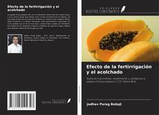 Bookcover of Efecto de la fertirrigación y el acolchado
