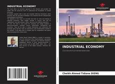 Bookcover of INDUSTRIAL ECONOMY