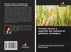 Buchcover von Principi teorici e applicati del sistema di gestione strategica