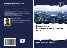 Copertina di Введение в беспроводные ячеистые сети