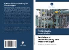 Bookcover of Betrieb und Instandhaltung von Wasseranlagen