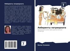 Bookcover of Лабиринты патриархата