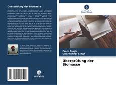 Buchcover von Überprüfung der Biomasse