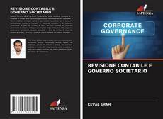 REVISIONE CONTABILE E GOVERNO SOCIETARIO kitap kapağı