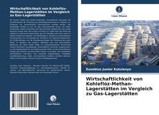 Couverture de Wirtschaftlichkeit von Kohleflöz-Methan-Lagerstätten im Vergleich zu Gas-Lagerstätten