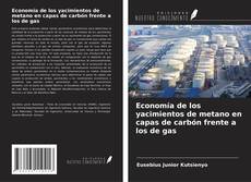 Copertina di Economía de los yacimientos de metano en capas de carbón frente a los de gas