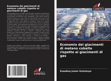 Borítókép a  Economia dei giacimenti di metano cobalto rispetto ai giacimenti di gas - hoz