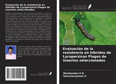 Bookcover of Evaluación de la resistencia en híbridos de Lycopersicon Plagas de insectos seleccionadas