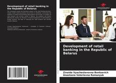 Capa do livro de Development of retail banking in the Republic of Belarus 