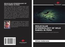 Bookcover of MOLECULAR EPIDEMIOLOGY OF WILD RABIES IN PERU