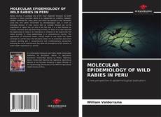 Portada del libro de MOLECULAR EPIDEMIOLOGY OF WILD RABIES IN PERU