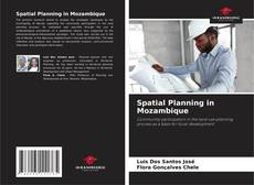 Capa do livro de Spatial Planning in Mozambique 